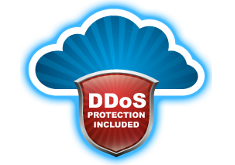 Anti DDoS included Anti DDoS included