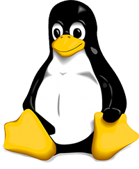 VPS mit Linux
