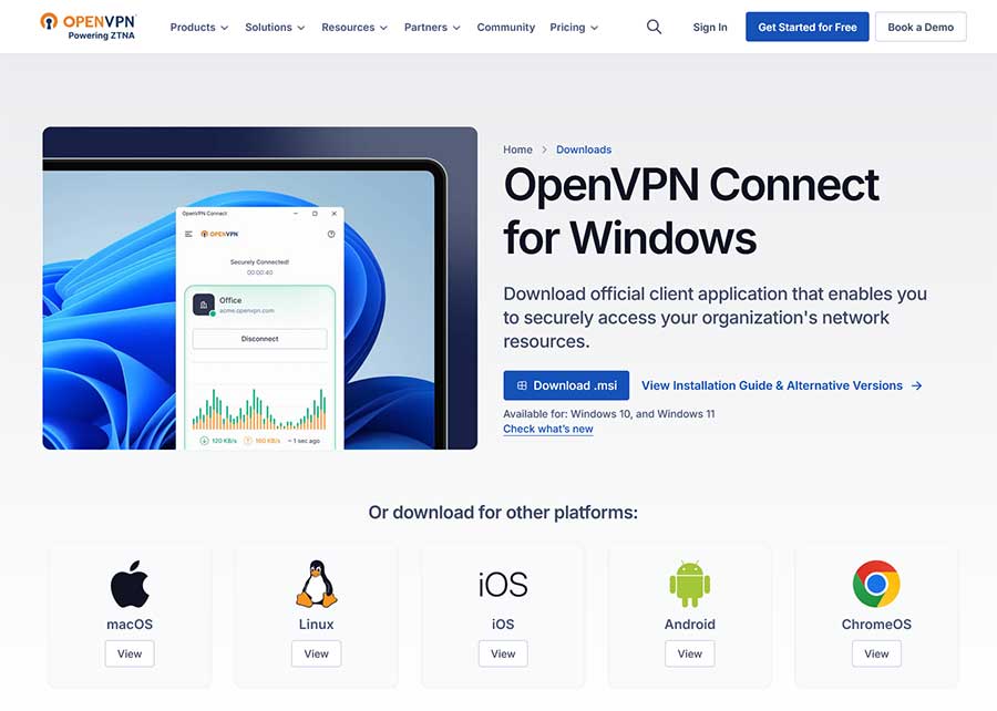 Download client only from its website