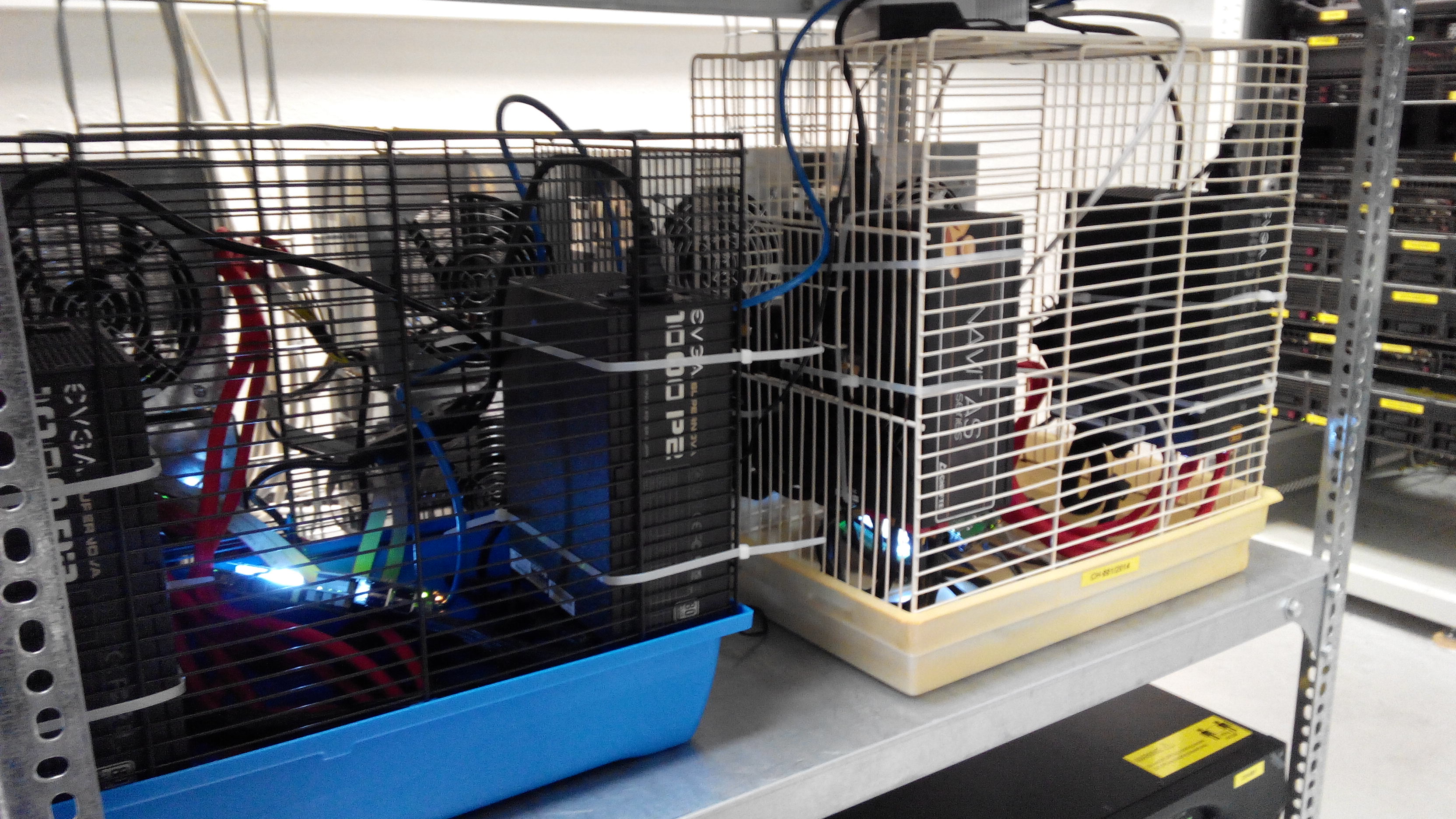 Cage for budgies